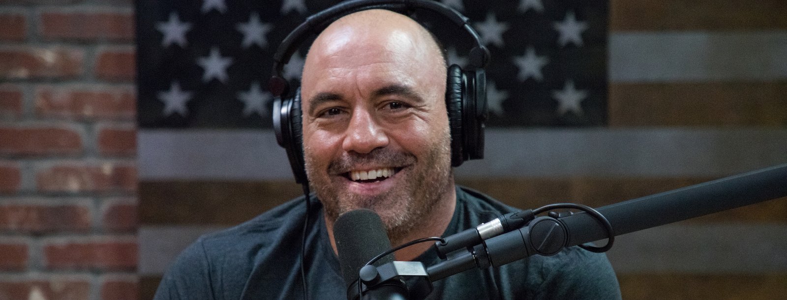 joe rogan