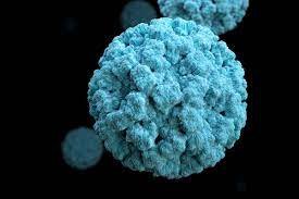 What is norovirus, side effects, diagnosis and treatment